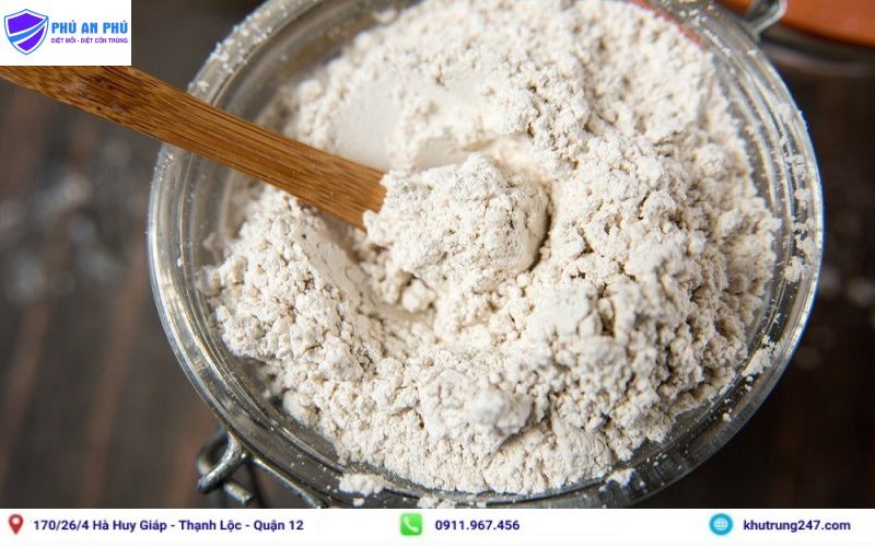 Diệt kiến trên cây bằng đất cát tảo