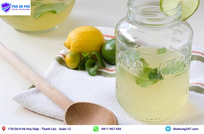 Cách diệt mối bằng giấm trắng và chanh