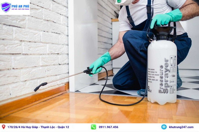 Diệt mối bằng hóa chất - Khutrung247