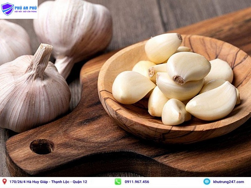 Cách diệt muỗi dân gian bằng tỏi