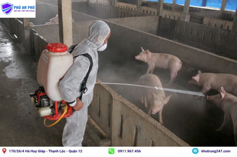 Cách khử trùng chuồng trại đúng và hiệu quả
