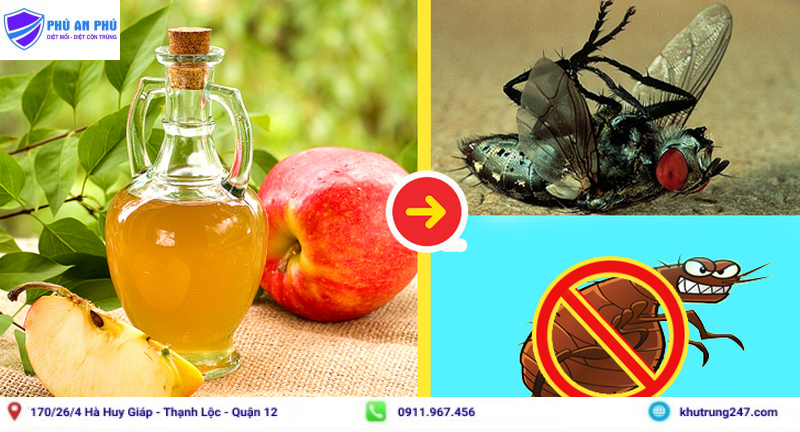 Các cách diệt ruồi, đuổi ruồi khỏi nhà nhanh và hiệu quả