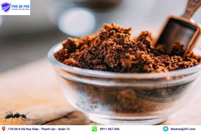 Cách diệt kiến cho cây bằng bả cà phê