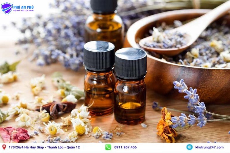 Dùng tinh dầu đuổi ruồi trong quán ăn