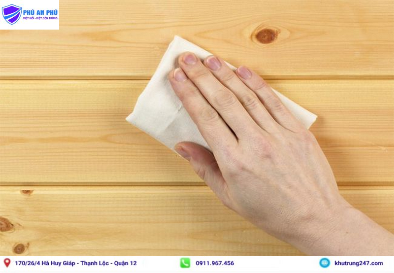 Vệ sinh nhà cửa để phòng ngừa mối