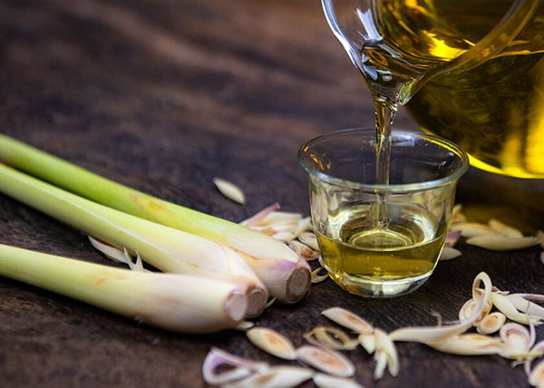 cach diet gian hieu qua