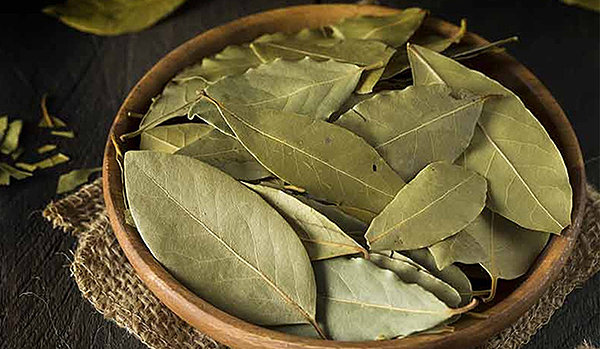 đuổi gián trong tủ bếp